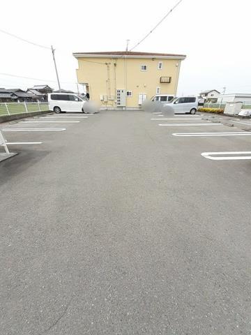 ロータス・ミカド_その他_5