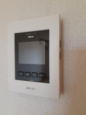 ロータス・ミカド_その他_3