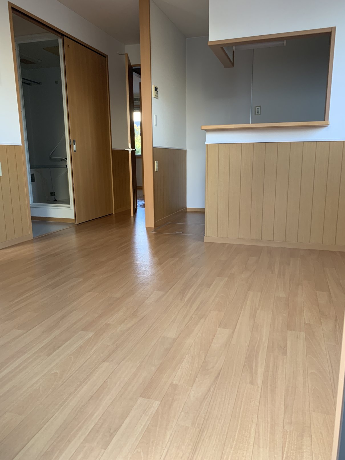 居室・リビング　南向きの明るいリビング