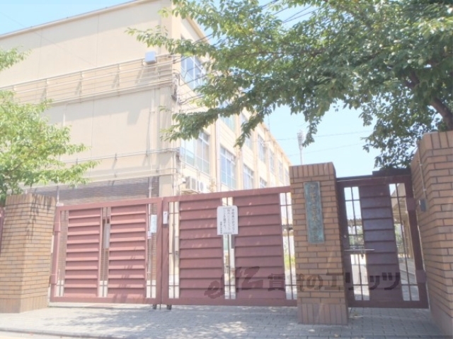 小学校　紫野小学校（小学校）まで560m