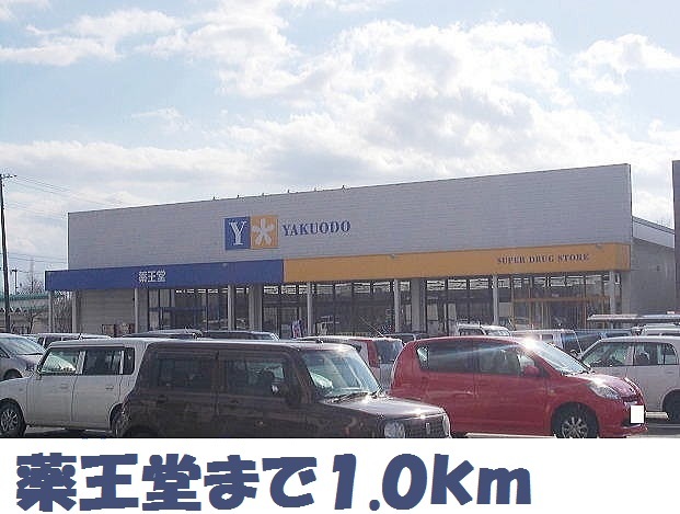 ドラックストア　薬王堂（ドラッグストア）まで1000m