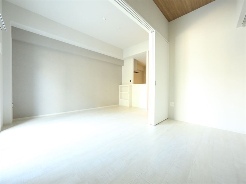 その他部屋・スペース　ＬＤＫ11.8帖　洋室4.2帖　つなげても仕切っても使えます