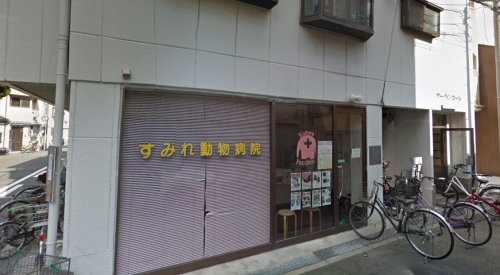 病院　すみれ動物病院（病院）まで274m