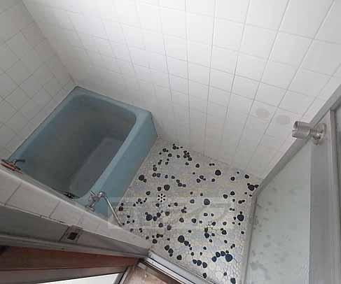 バス・シャワールーム　ホームセンターでシャワーを購入しましょう