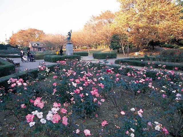 【グロリオーザ新都心Aの公園】