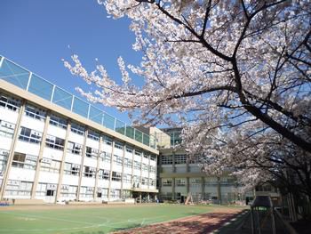 【中央区月島のマンションの小学校】