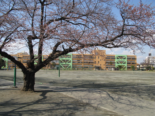 【第2かしの木ハイツの小学校】