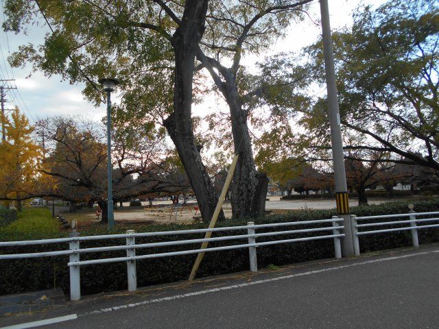 公園　井田公園（公園）まで697m