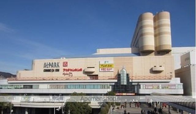 ショッピングセンター　アルパーク（ショッピングセンター）まで2100m