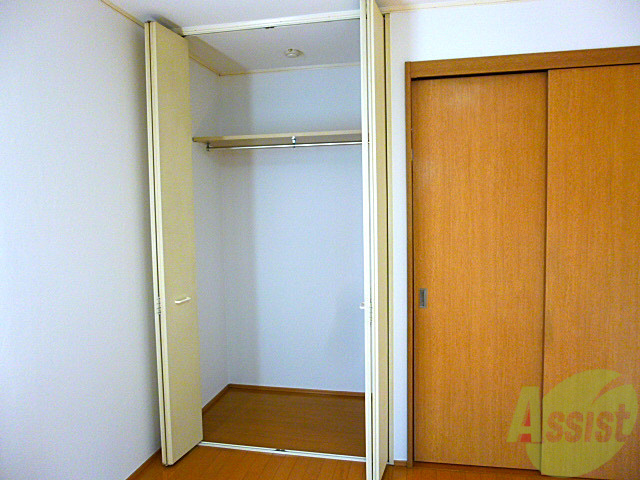 収納　収納力バッチリ、衣装もちの方にはもってこ