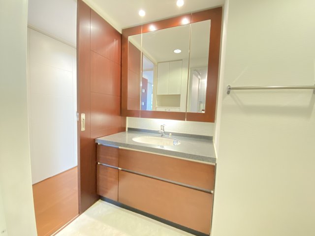 洗面設備　同一タイプです。