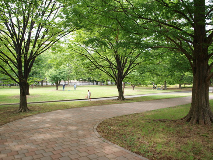 公園　亀戸中央公園（公園）まで200m