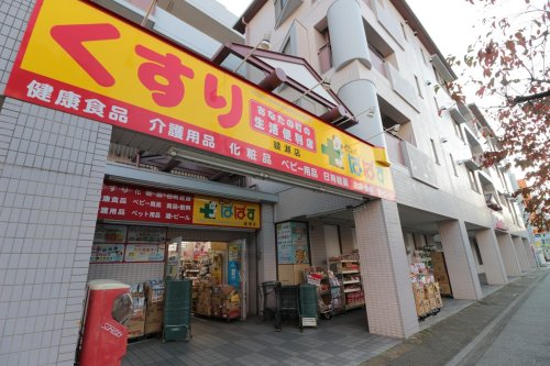 ドラックストア　どらっぐぱぱす 綾瀬店（ドラッグストア）まで500m