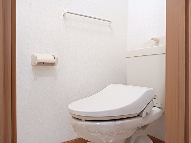 トイレ　トイレも気になるポイント
