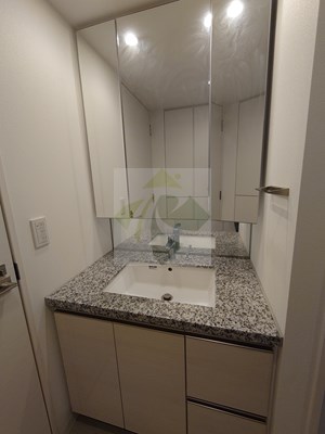 洗面設備　参考写真　別のお部屋のお写真です