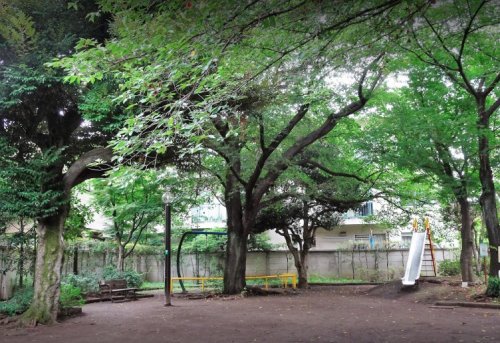 公園　西荻北中央公園（公園）まで184m