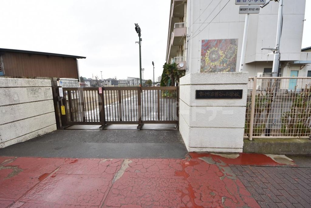 小学校　市川市立曽谷小学校（小学校）まで550m