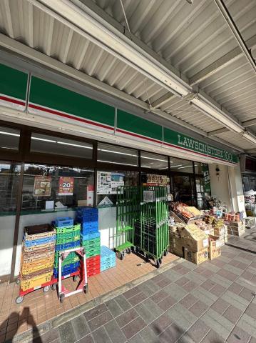 コンビニ　ローソンストア１００江東白河二丁目店（コンビニ）まで233m