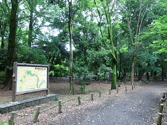 公園　都立和田堀公園（公園）まで244m