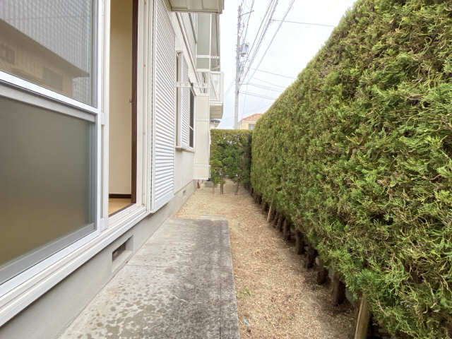 庭