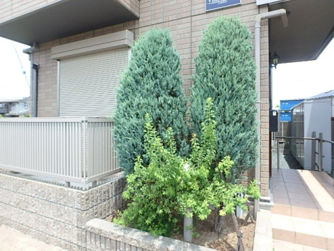 庭