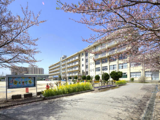 小学校　松戸市立横須賀小学校（小学校）まで898m