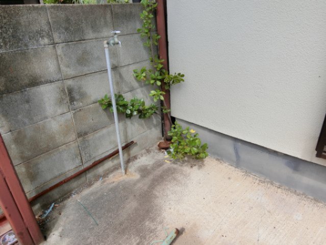 庭　洗濯機置き場です！