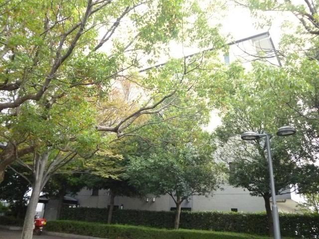 その他　★外観★