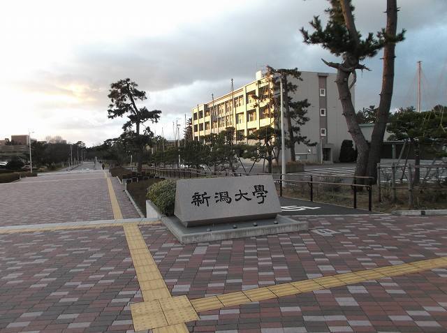 大学・短大　新潟大学 五十嵐キャンパス（大学・短大）まで1100m