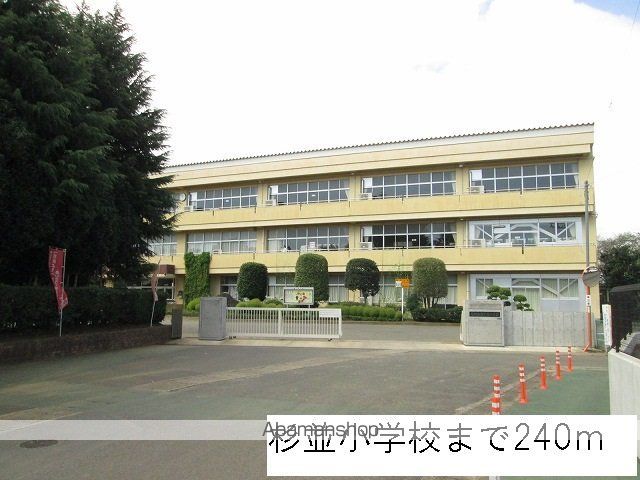 小学校　杉並小学校（小学校）まで240m