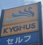 その他　KYGNUS石油 セルフブライト岩出 SS様（その他）まで326m