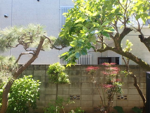 眺望　★眺望★