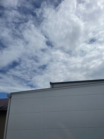 キャレブラン初生のその他写真