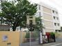 小学校　川口市立芝樋ノ爪小学校（小学校）まで457m