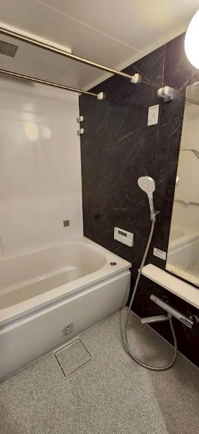 Ts Residence 白金高輪の風呂写真