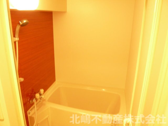 NO.72 ORIENTBLDの風呂写真