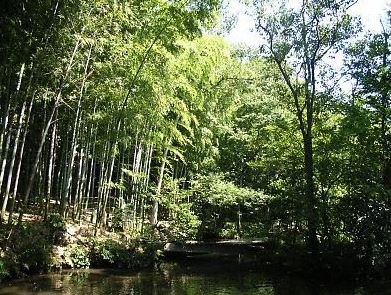 公園　実篤公園（公園）まで720m