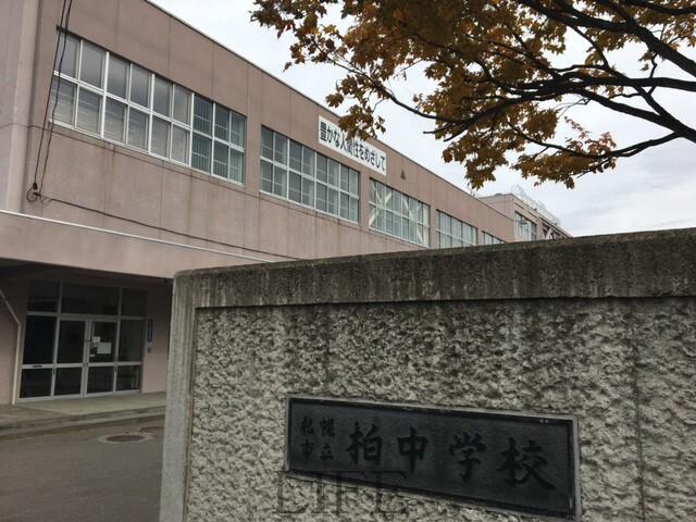 中学校　札幌市立柏中学校（中学校）まで881m