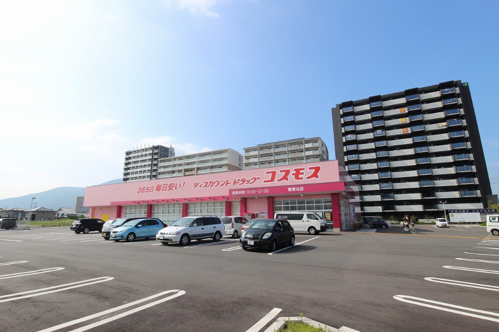 ドラックストア　ディスカウントドラッグコスモス 曽根北店（ドラッグストア）まで632m