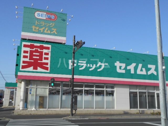 ドラックストア　ドラッグセイムス太田新井町店（ドラッグストア）まで114m