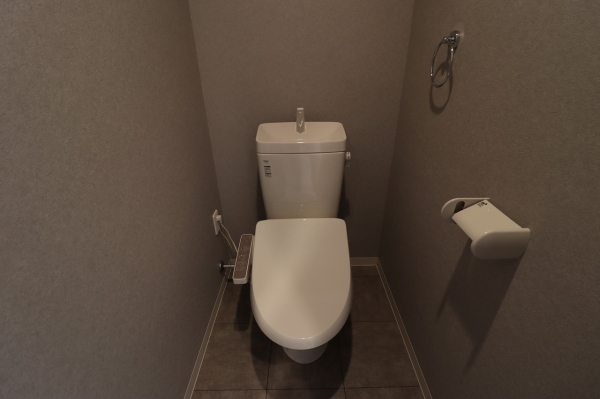 トイレ　同建物同タイプ別部屋