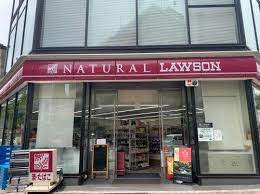 コンビニ　ナチュラルローソン NL広尾五丁目店（コンビニ）まで180m