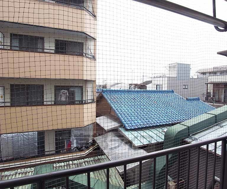 眺望　いい眺めです。