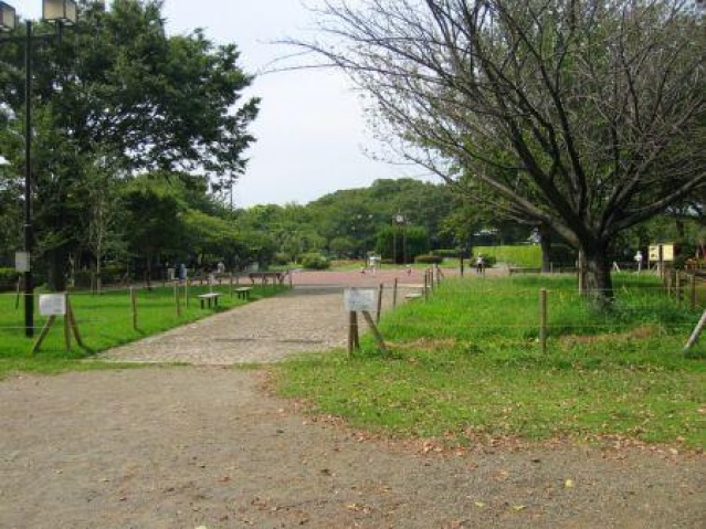 公園　夢見ケ崎公園（公園）まで1233m