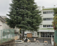 小学校　流山市立向小金小学校（小学校）まで1161m