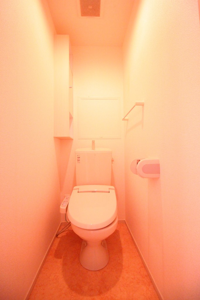 グレイス大町のトイレ写真