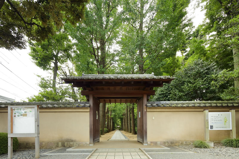 公園　大田黒公園（公園）まで748m