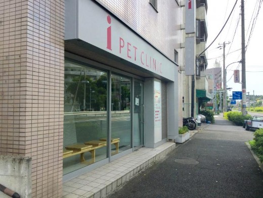 病院　ベルピアージュ動物病院（病院）まで175m