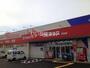 ドラックストア　ドラッグストアウェルネス 桜谷店（ドラッグストア）まで1281m