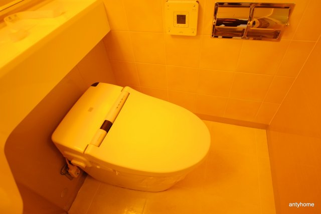 ザグランドビューオオサカのトイレ写真